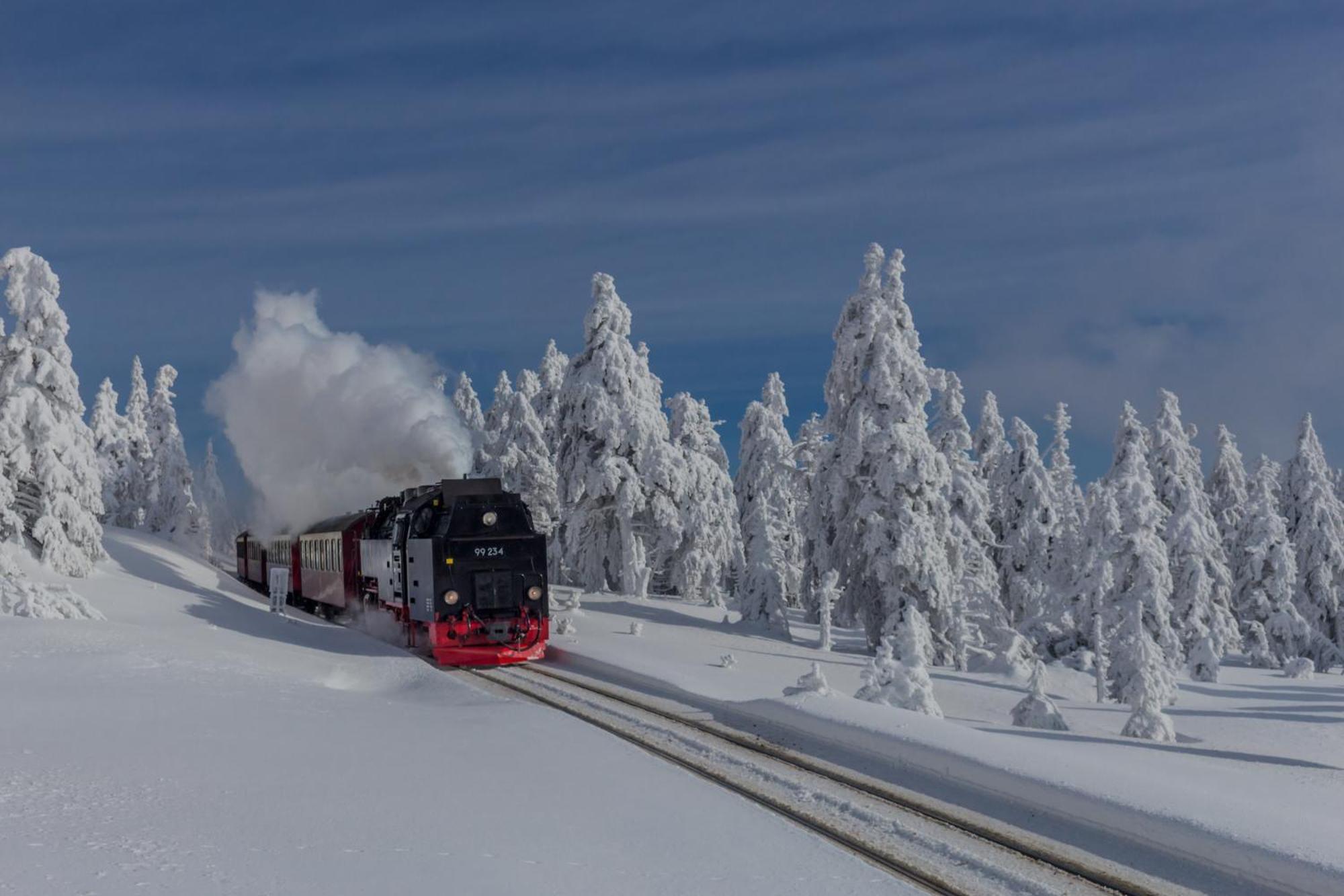 Fewo Schloesschen #Innenstadt#Garten#Ruhige Lage Von Harztraveler Wernigerode Dış mekan fotoğraf
